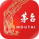 受被无数性器调教成性奴